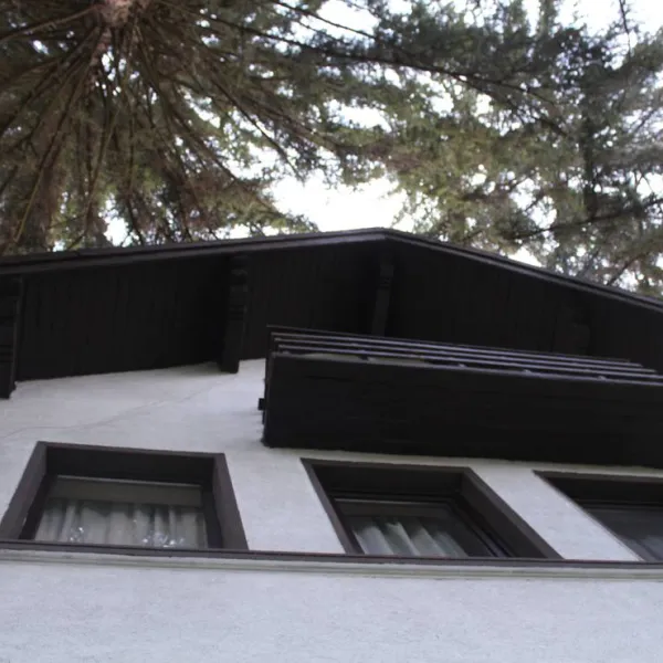 camping-starite-borove-old-pines-sinagovtsi-ubktk