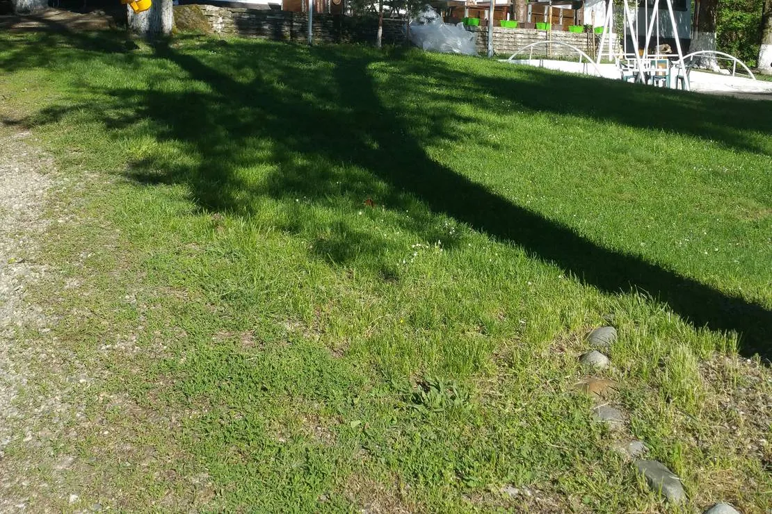 camping-starite-borove-old-pines-sinagovtsi-uwxql