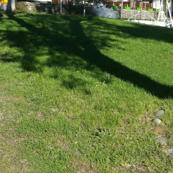 camping-starite-borove-old-pines-sinagovtsi-uwxql