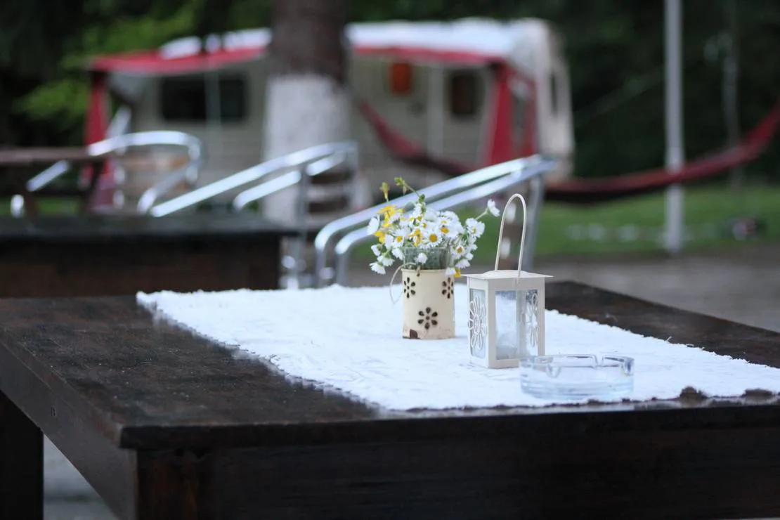 camping-starite-borove-old-pines-sinagovtsi-vzfme