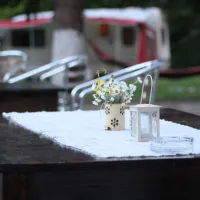 camping-starite-borove-old-pines-sinagovtsi-vzfme