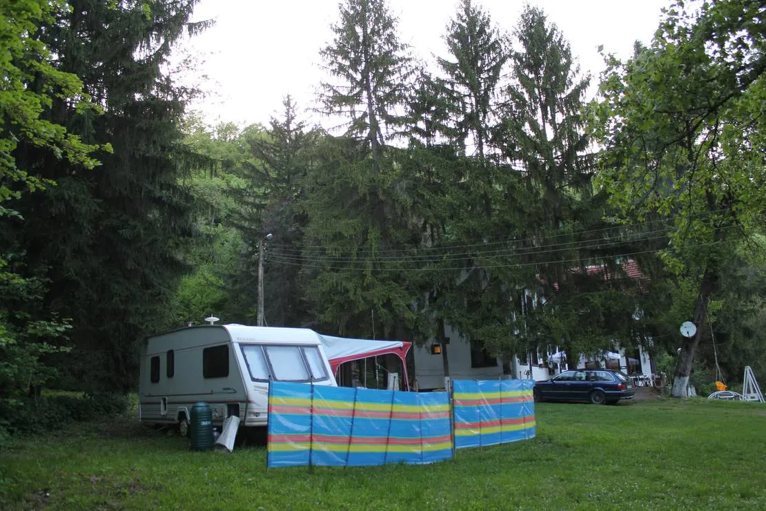 camping-starite-borove-old-pines-sinagovtsi-xolte