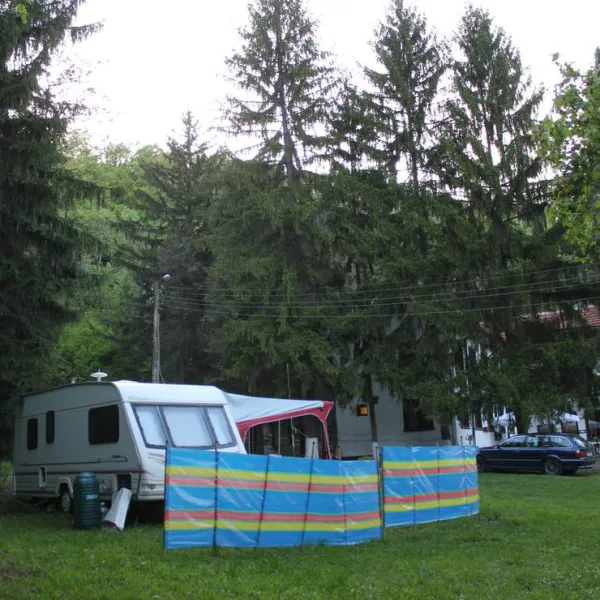 camping-starite-borove-old-pines-sinagovtsi-xolte