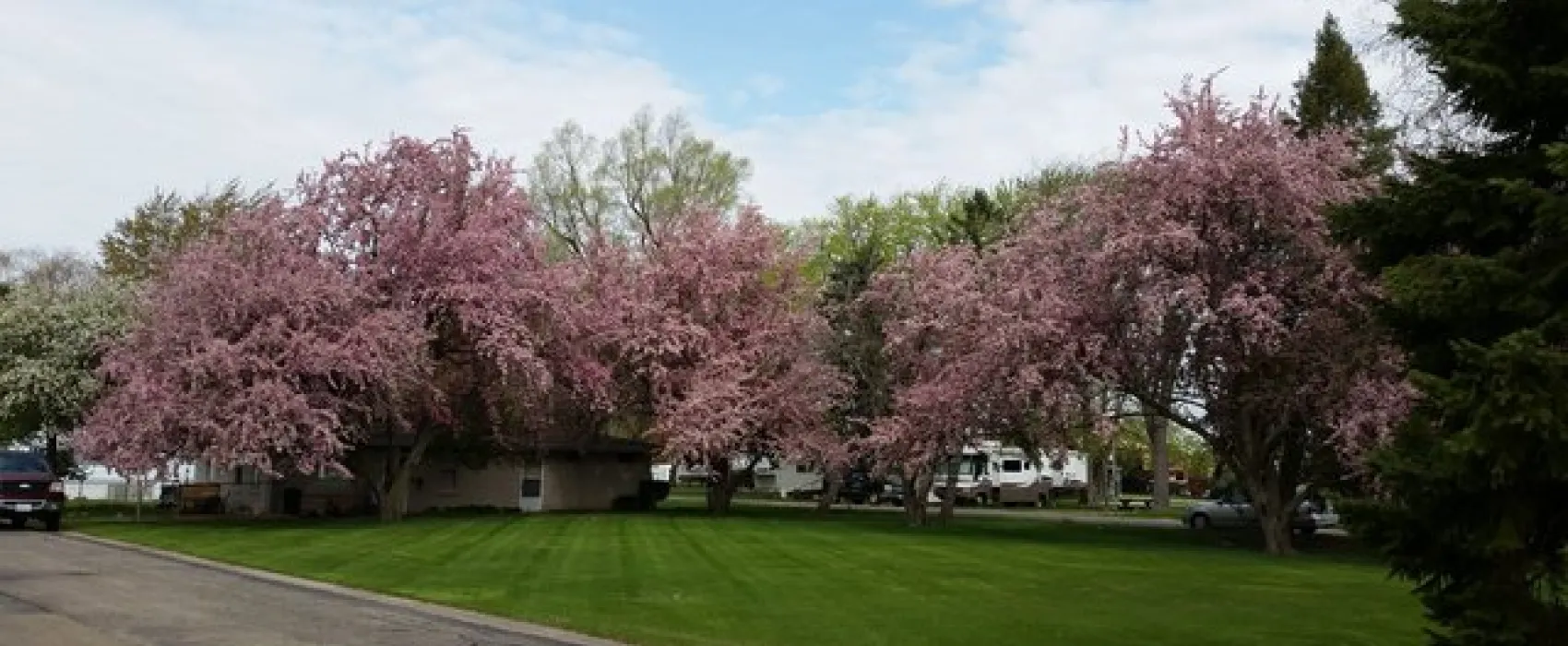 Mt. Hawley RV Park
