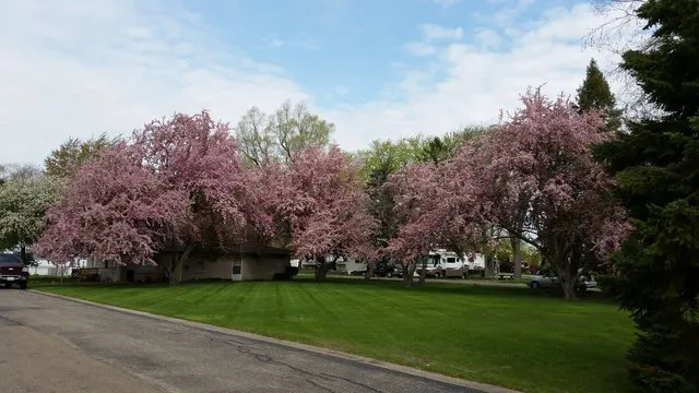 mt-hawley-rv-park-peoria-pvcyp