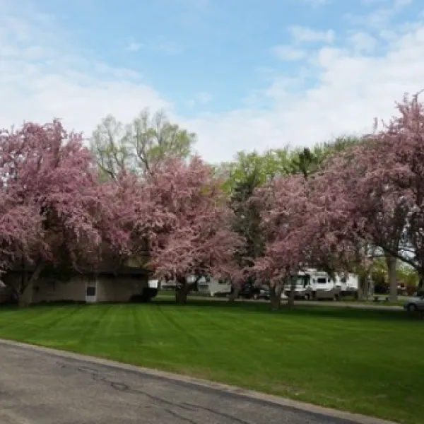 Mt. Hawley RV Park