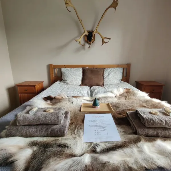langforsen-glamping-lapland-experience-lapptrask-dcixe