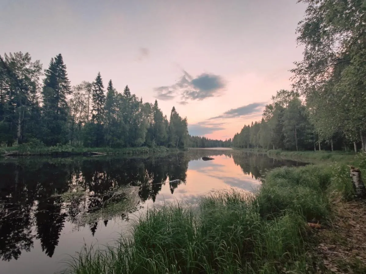 langforsen-glamping-lapland-experience-lapptrask-yo1zq