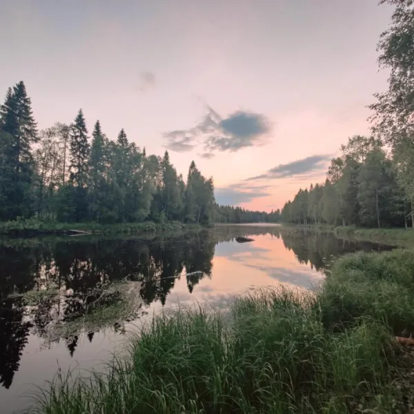 langforsen-glamping-lapland-experience-lapptrask-yo1zq