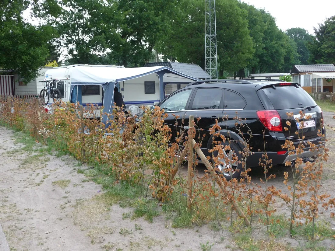 molenzijdse-heide-merksplas-6wtrk