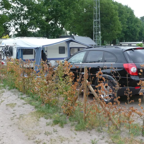 molenzijdse-heide-merksplas-6wtrk