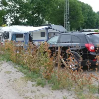 molenzijdse-heide-merksplas-6wtrk
