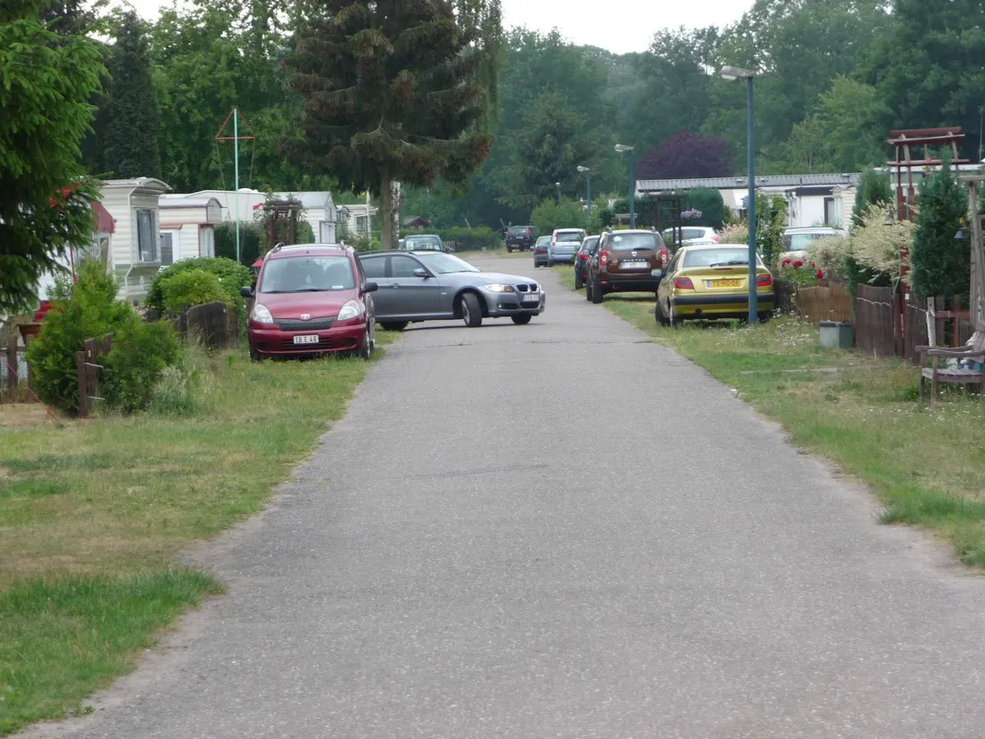 molenzijdse-heide-merksplas-azin5