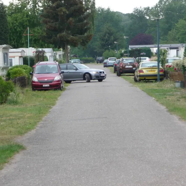 molenzijdse-heide-merksplas-azin5