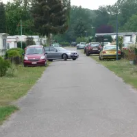 molenzijdse-heide-merksplas-azin5