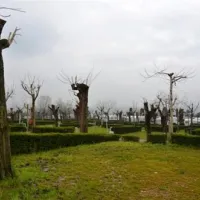 lido-glamping-pacengo-di-lazise-aekfb