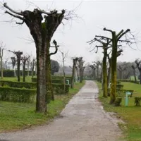 lido-glamping-pacengo-di-lazise-pvumm