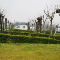 lido-glamping-pacengo-di-lazise-sf6y7