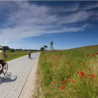 camping-euro-2012-gdansk-skarszewy-qmjft