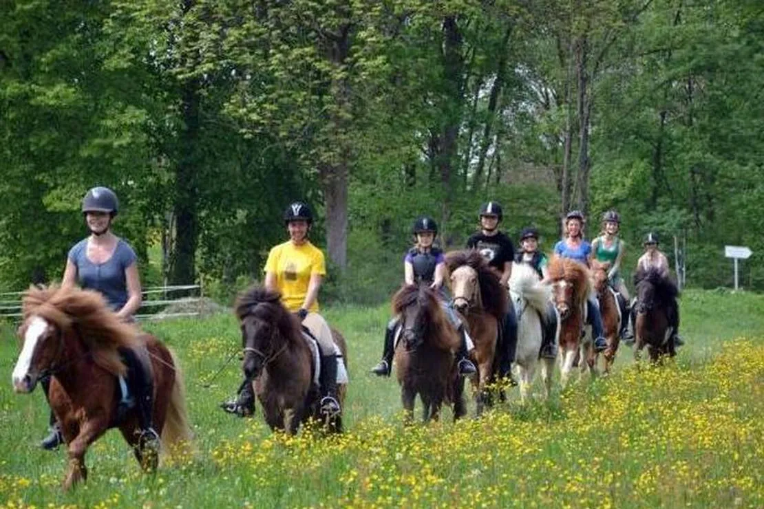 camping-euro-2012-gdansk-skarszewy-wfbea