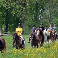 camping-euro-2012-gdansk-skarszewy-wfbea