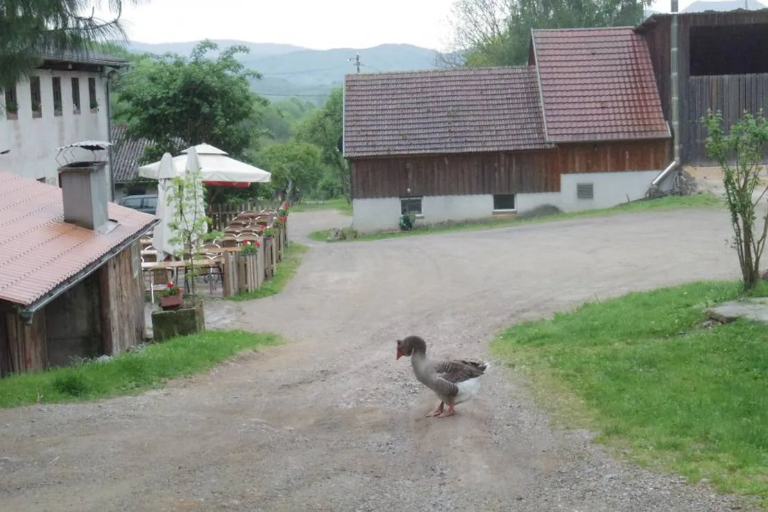camping-auberge-nidermatten-breitenbach-4cuw5