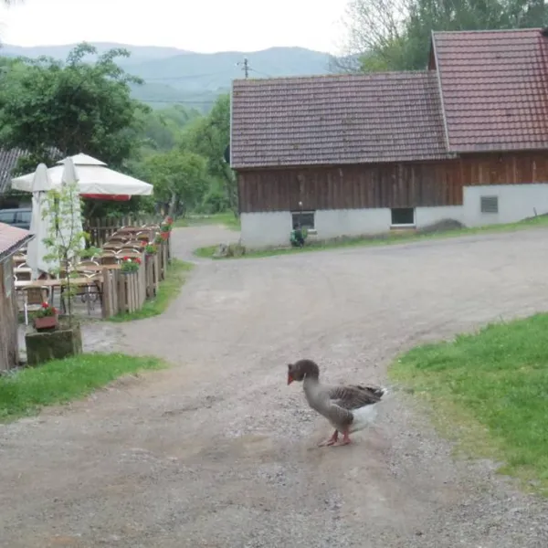 camping-auberge-nidermatten-breitenbach-4cuw5