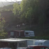 camping-auberge-nidermatten-breitenbach-qm6op