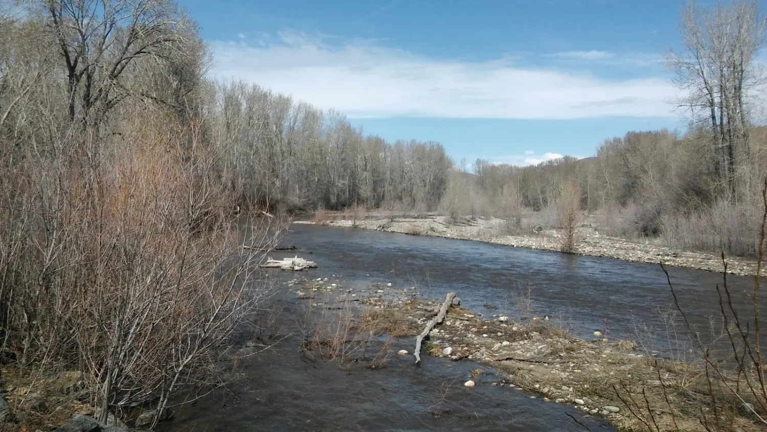 riverside-rv-park-and-campground-bellevue-ntc3k