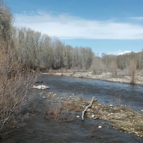 Riverside RV Park and Campground