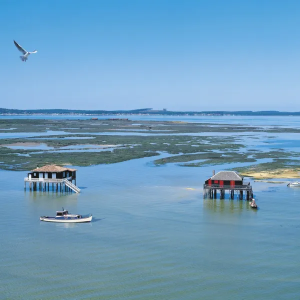 pyla-pyla-sur-mer-gironde-tdxnc