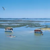 pyla-pyla-sur-mer-gironde-tdxnc