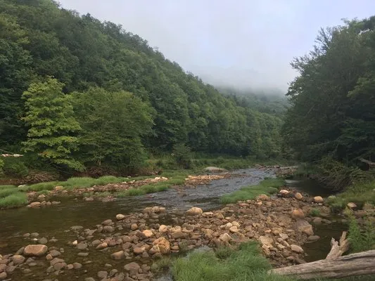 tea-creek-campground-marlinton-echs1
