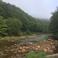 tea-creek-campground-marlinton-echs1
