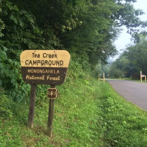 tea-creek-campground-marlinton-jbci3