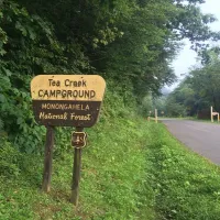 tea-creek-campground-marlinton-jbci3
