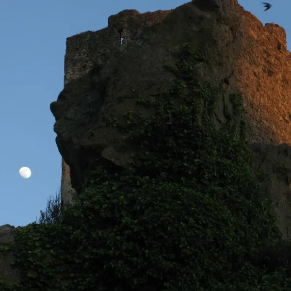 camping-torre-de-la-pena-i-tarifa-wmnq0