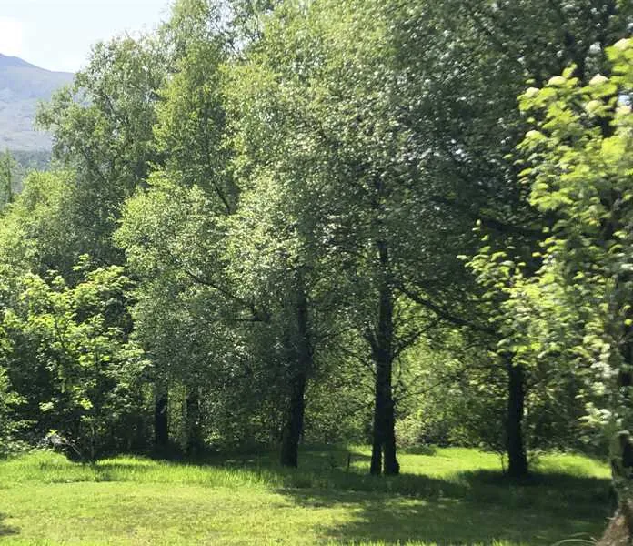 pitch-and-hike-betws-y-coed-bnnkw