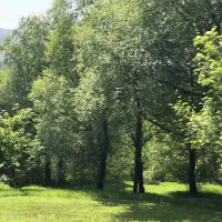 pitch-and-hike-betws-y-coed-bnnkw