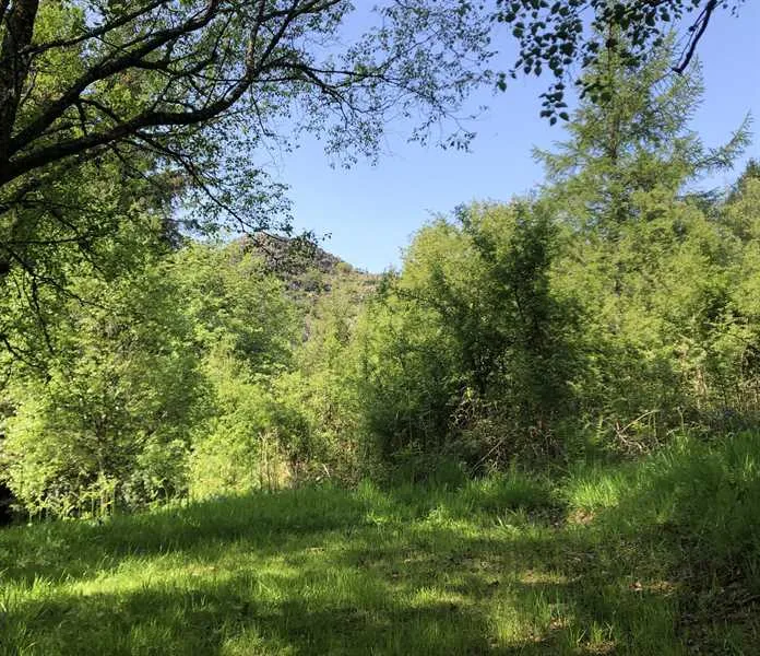 pitch-and-hike-betws-y-coed-j1ejs
