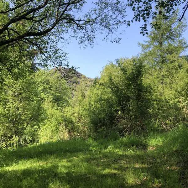pitch-and-hike-betws-y-coed-j1ejs