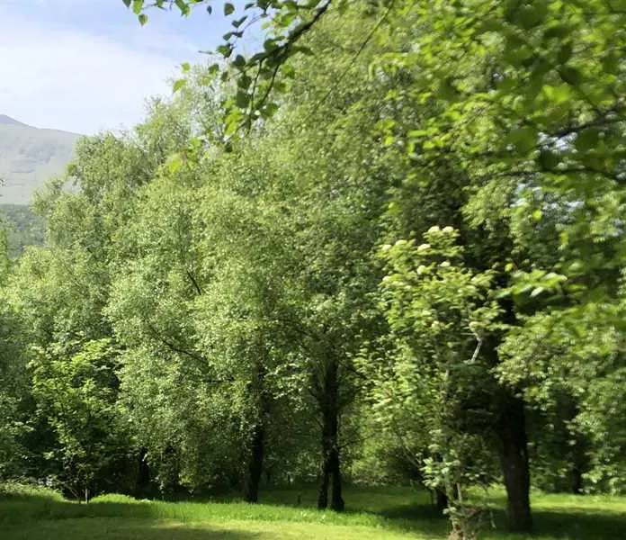 pitch-and-hike-betws-y-coed-ksldk