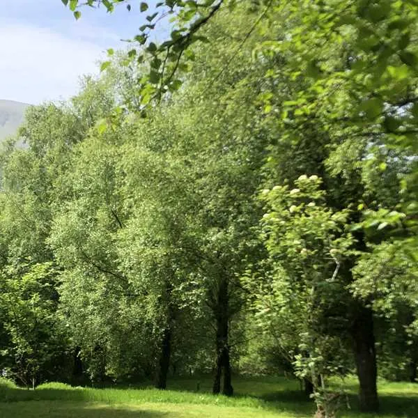 pitch-and-hike-betws-y-coed-ksldk