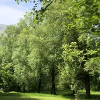 pitch-and-hike-betws-y-coed-ksldk