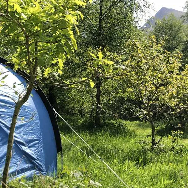 pitch-and-hike-betws-y-coed-m5zus