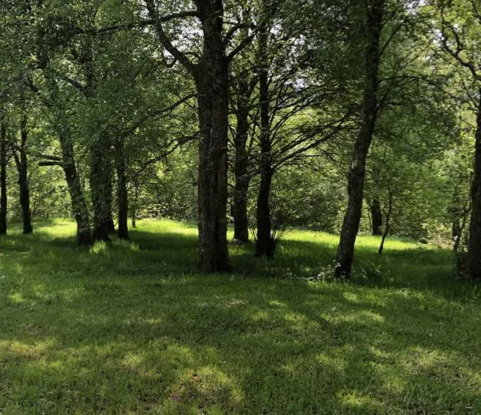pitch-and-hike-betws-y-coed-n9ctx