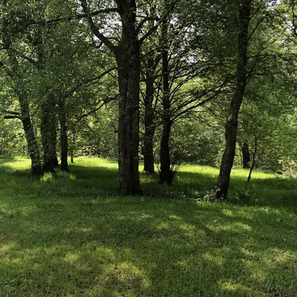 pitch-and-hike-betws-y-coed-n9ctx