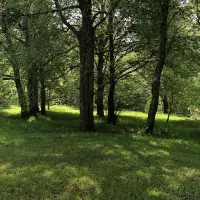 pitch-and-hike-betws-y-coed-n9ctx