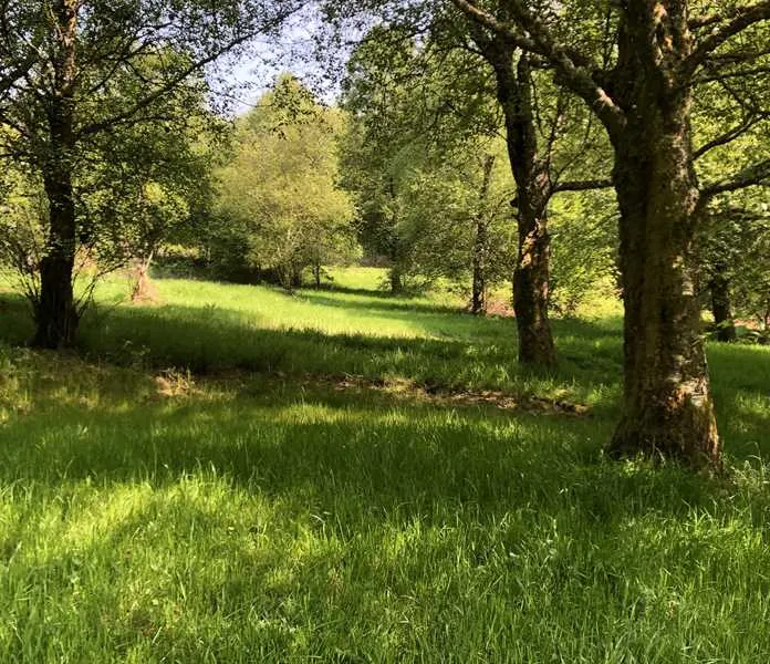 pitch-and-hike-betws-y-coed-prw5x
