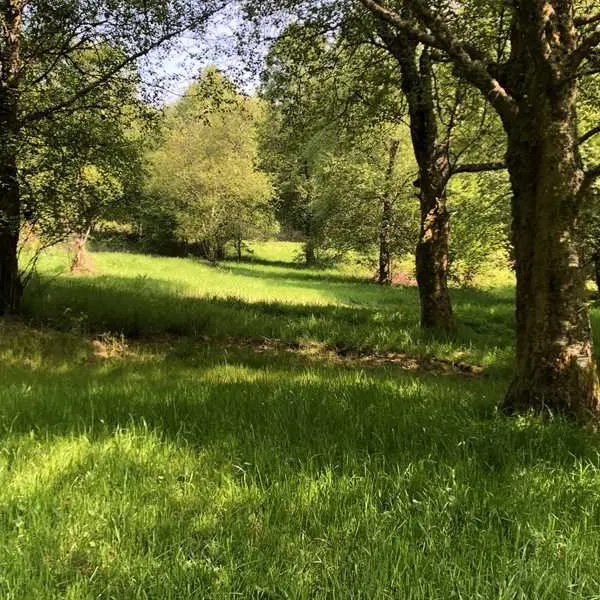 pitch-and-hike-betws-y-coed-prw5x